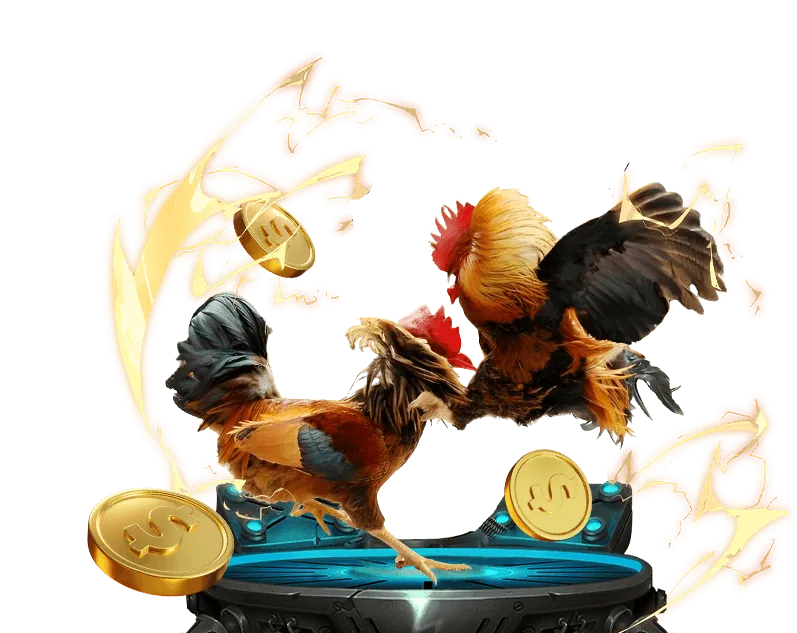 Cá cược Thể Thao v9bet win